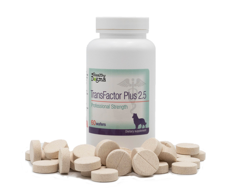 TransFactor Plus 2.5 Immune Dog Supplement
