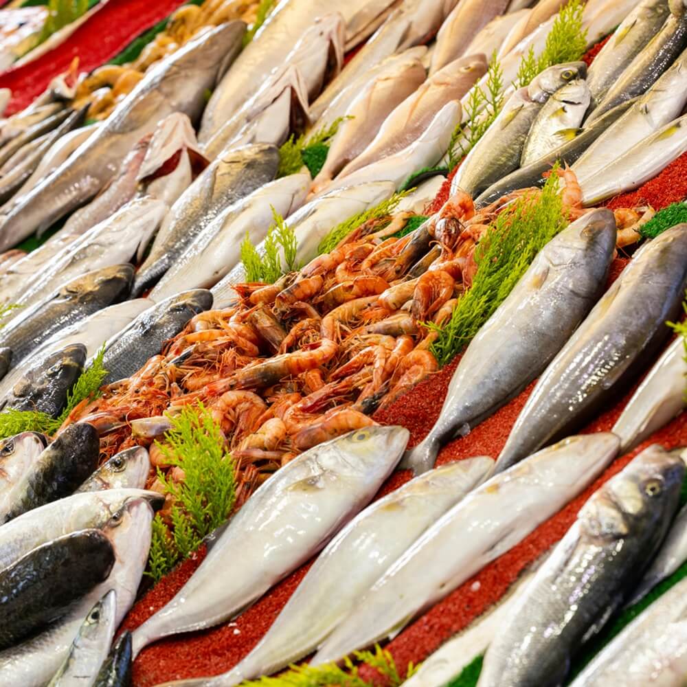 A variety of fish and shrimp are displayed on a red surface, representing different types of fish, some of which are among the types of fish that dogs can eat