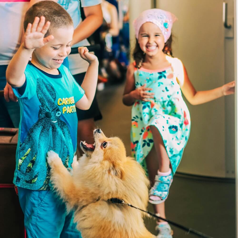 A young boy and a girl joyfully play with a fluffy dog, this scene illustrates how to help a pet adjust to back-to-school schedules