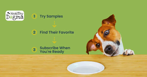 Healthy Dogma guide on How to Get Started with PetMix, illustrating a three-step process: Try Samples, Find Their Favorite, and Subscribe When You're Ready, featuring a curious dog looking at a plate.
