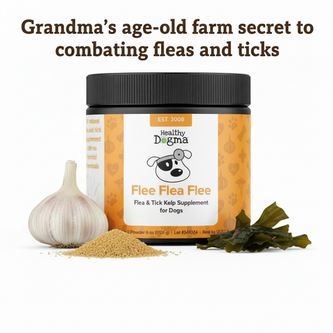 Garlic for Dogs: The Truth About Safety, Fleas, Ticks, and the Story That Changed How We Care for Ours