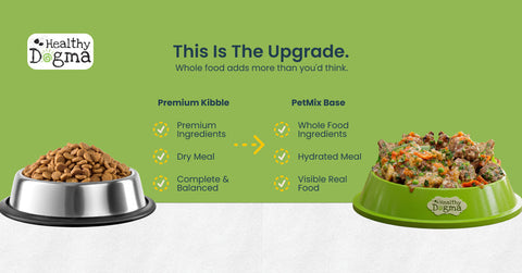 Healthy Dogma graphic comparing a bowl of dry premium kibble to hydrated PetMix Base, showing the upgrade to visible whole-food ingredients.