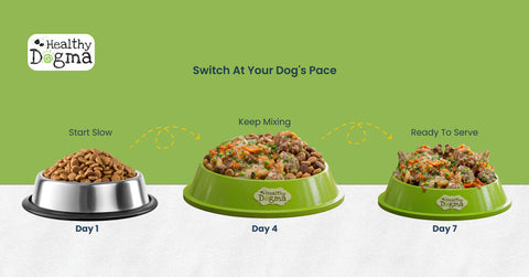 Your Dog Deserves Better Than the Bargain Bag