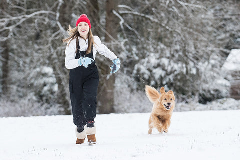 5 Meaningful Ways to Bond With Your Dog During the Winter