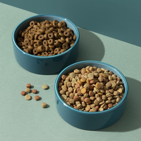 Two bowls of different types of dog food, highlighting the importance of choosing dog food ingredients carefully