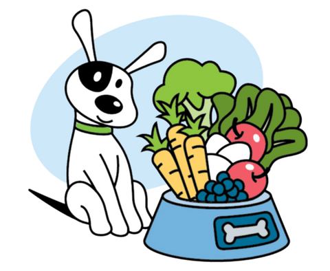 PetMix Food