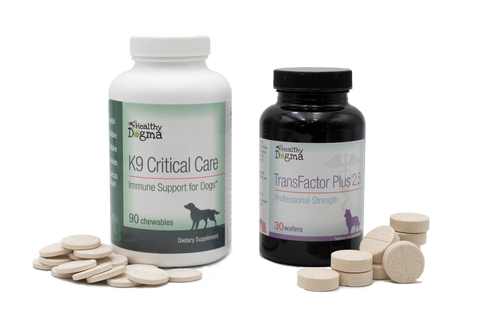 K9 Critical Care Immunotherapy PACK Dog Supplements 30 Day Supply