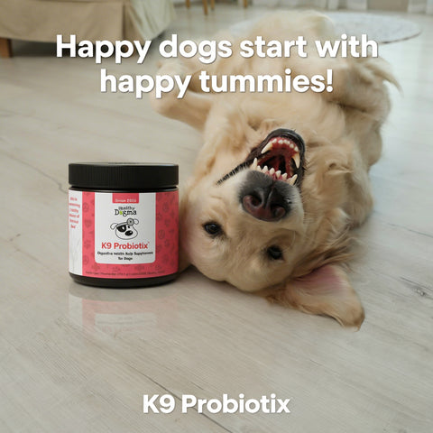 K9 Probiotix Tender Tummy Digestive Supplement