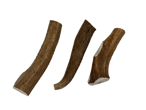 Elk Antlers