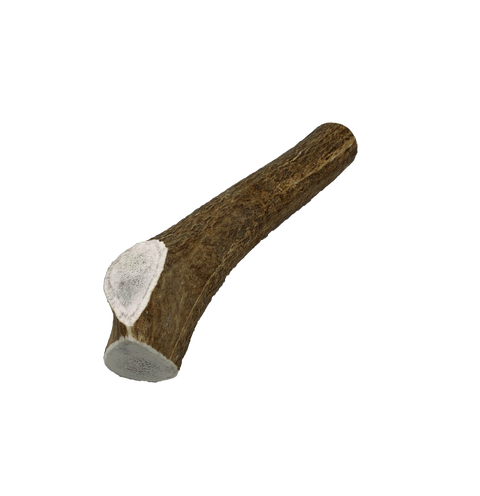 Elk Antlers