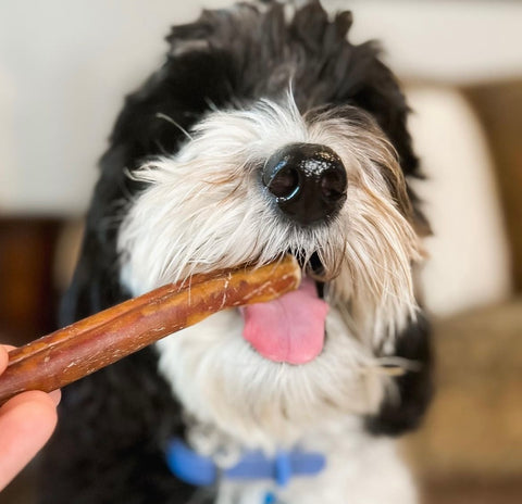 Dental Sticks
