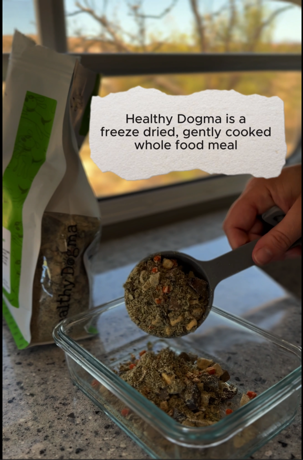Healthy Dogma