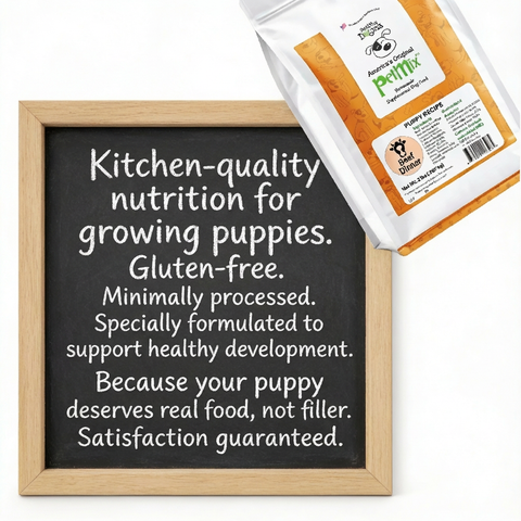 Puppy Beef Dinner PetMix