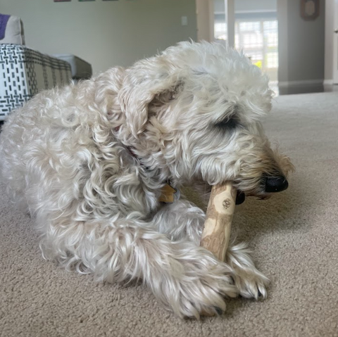 Coffee Wood Sticks